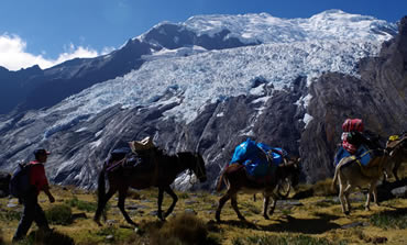 Going up to Yanayaku pass, Santa Cruz Ulta trek